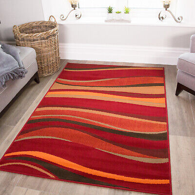 Elegant Area Rug